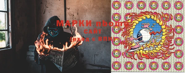 индика Алексеевка