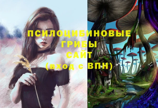 индика Алексеевка