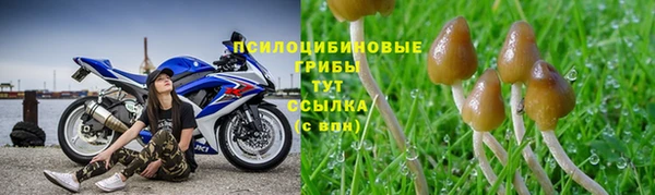 круглые Алексин