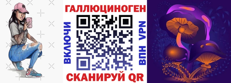 Псилоцибиновые грибы Psilocybine cubensis  сколько стоит  мега как войти  Ардатов 